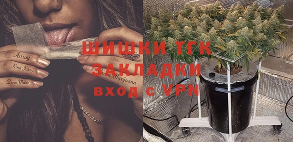 a pvp Гусев