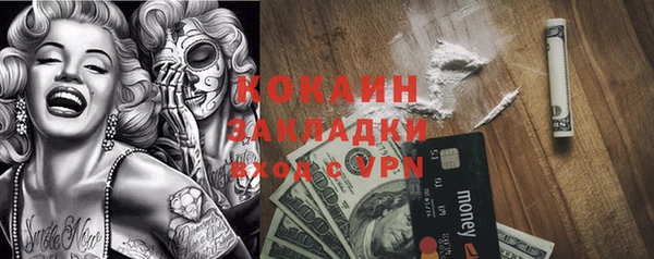 a pvp Гусев