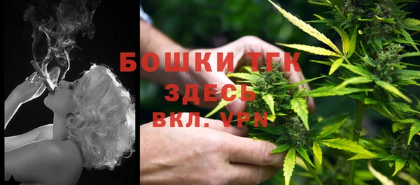 Альфа ПВП Гусиноозёрск